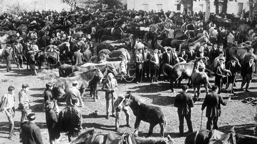 Feiras de noso: os mercados no mundo rural tradicional