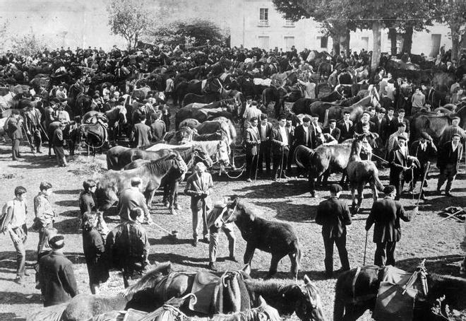 Feiras de noso: os mercados no mundo rural tradicional