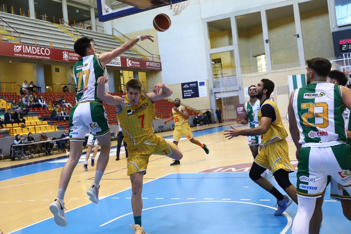 Coto Córdoba Baloncesto-Portuense: el partido de Liga EBA en imágenes