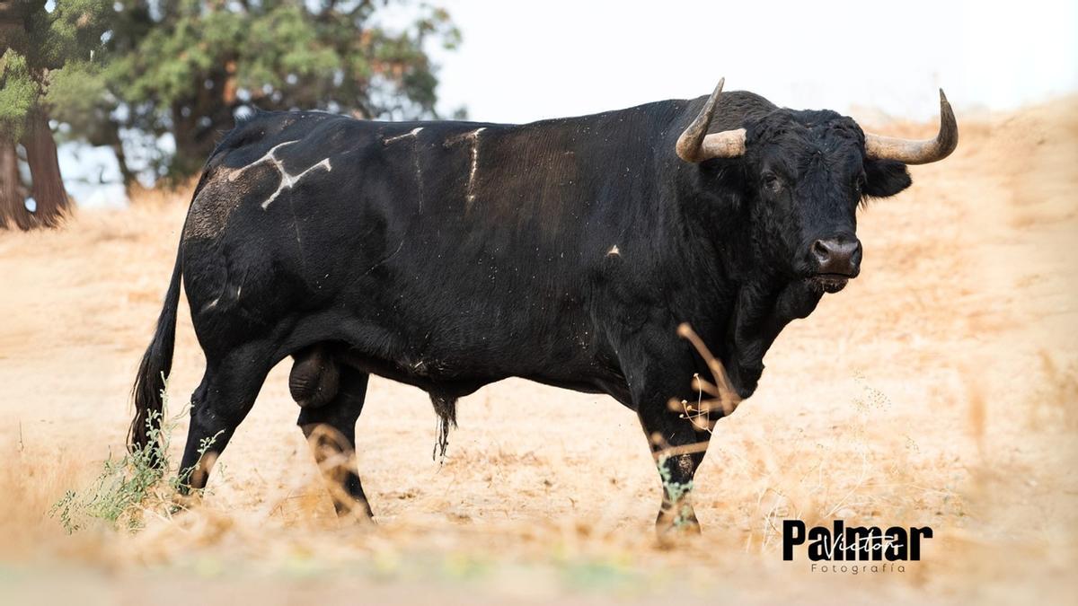 Hijos de Celestino Cuadri