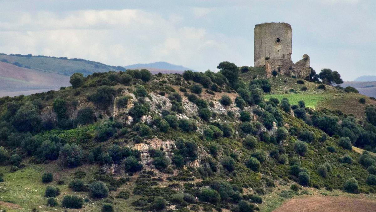 Vista panorámica de la Torre de Lopera, en Utrera.