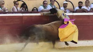"El Cordobés", otro torero en manos del doctor Crespo
