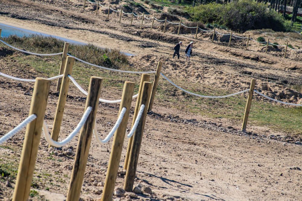 Costas ha realizado un proyecto de regeneración de los restos del cordón dunar de cala Ferrís, además de trabajos de poda y plantación de vegetación autóctona