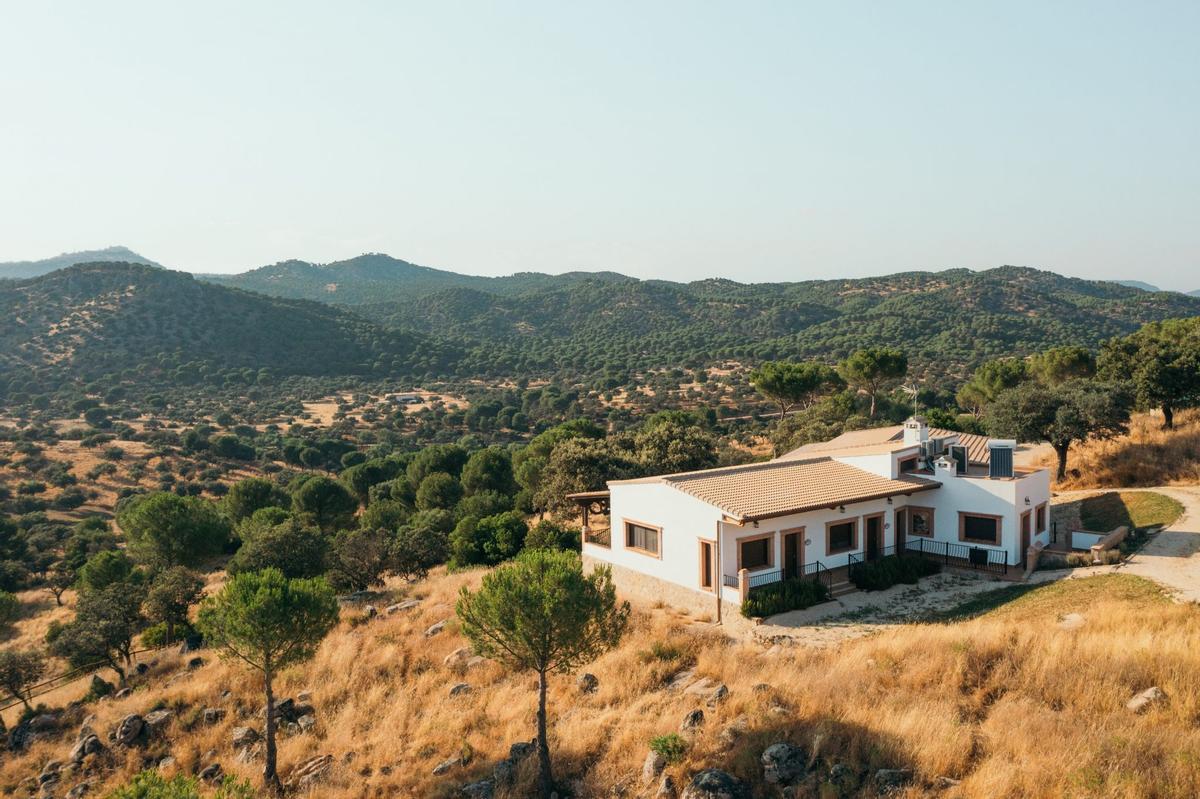 La finca El Encinarejo, en Andújar, permite ver de cerca bisontes y linces ibéricos gracias a su safari