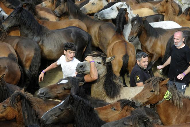 Pistoletazo de salida a la Rapa de Sabucedo 2024