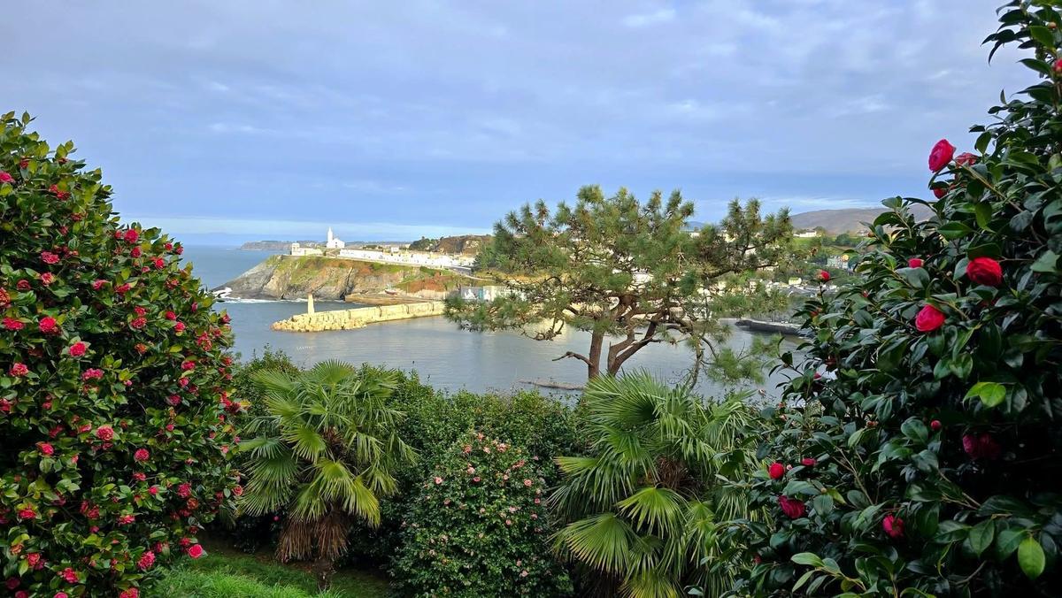 Una vista de la capilla de La Atalaya, con camelios en los extremos, y tomada desde el bosque-jardín.