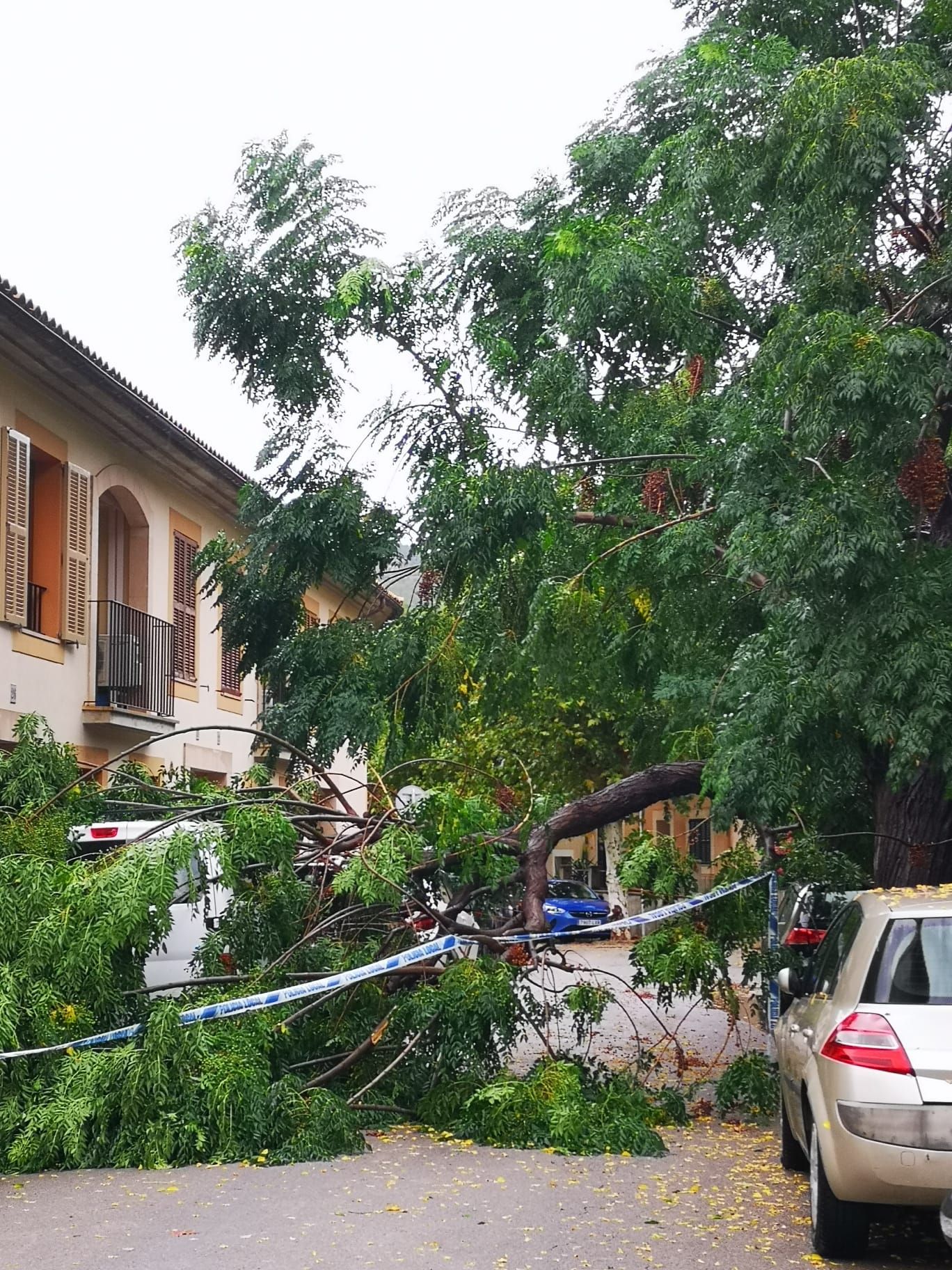 In Bildern: Das Unwetter auf Mallorca und die Schäden, die es hinterließ