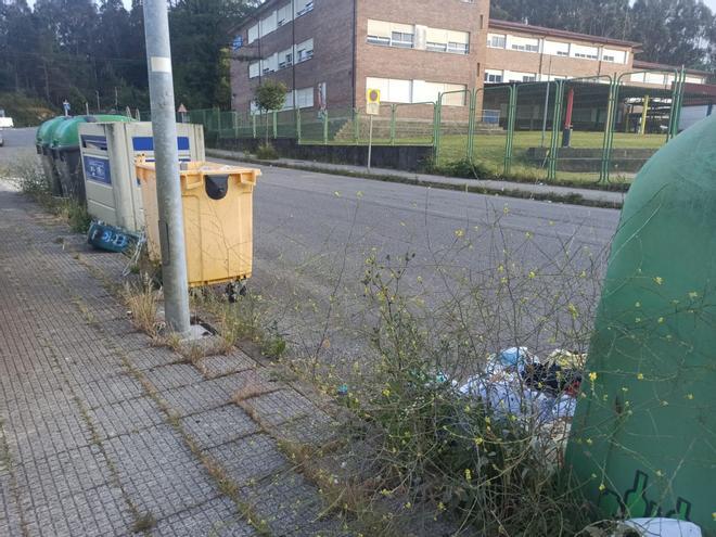 Quejas vecinales por basura y maleza