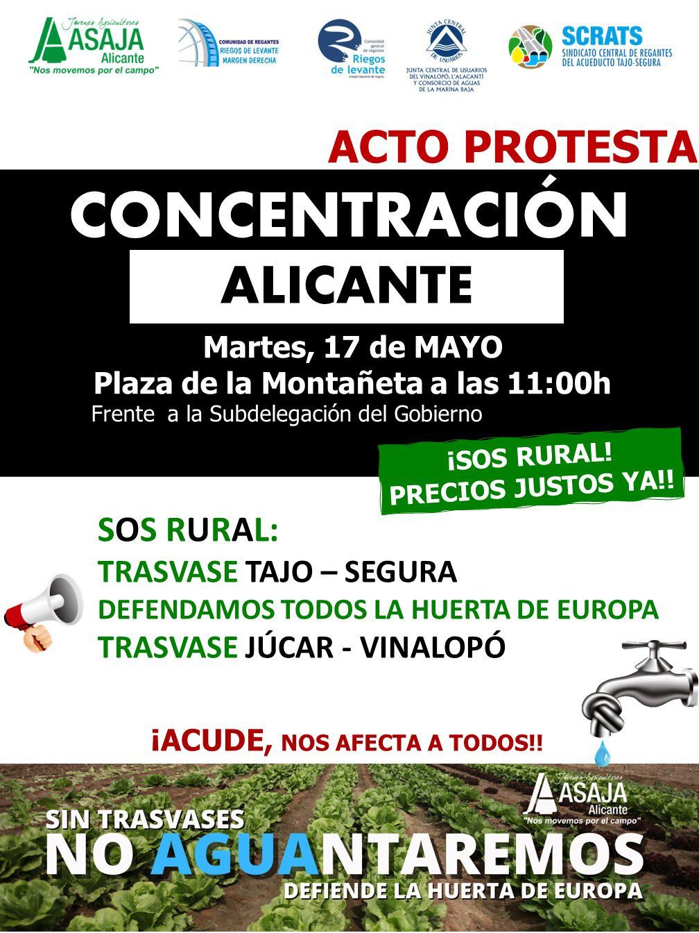 Cartel anunciando la convocatoria de la concentración del 17 de mayo en Alicante