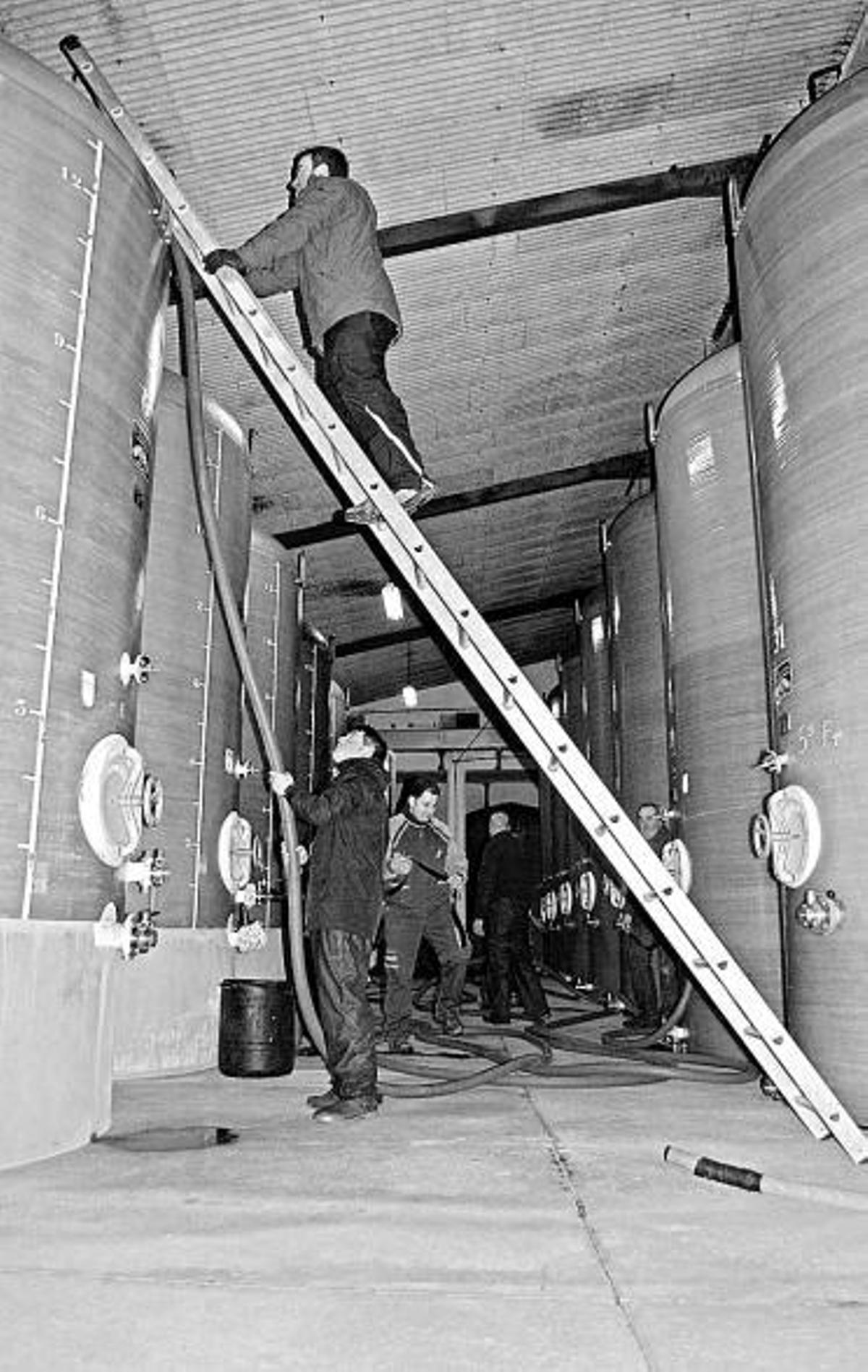 Operarios trabajando en el trasiego de la sidra en un lagar.