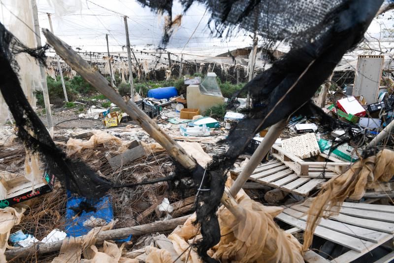 Invernaderos abandonados en la zona de acceso a Playa Vargas