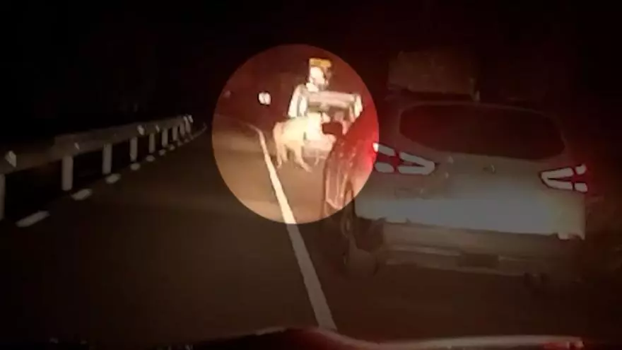 Denunciado por atar un burro a su coche y arrastrarlo por una carretera en Corbera de Llobregat