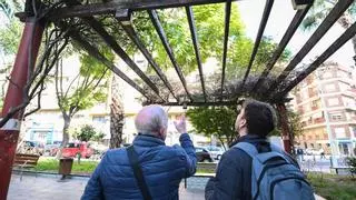 La rotura de una pérgola en un jardín de Elche pone en alerta a los vecinos