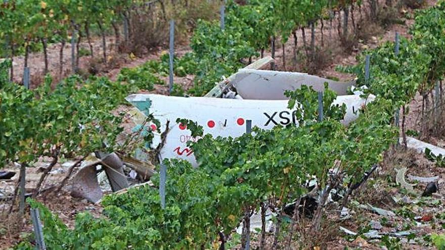 L&#039;avioneta es va estavellar en unes vinyes.