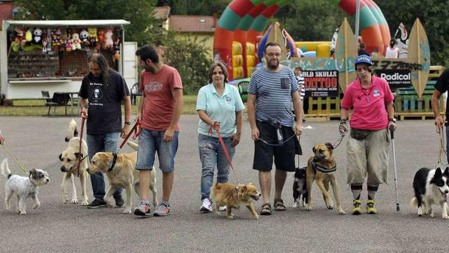 Exhibición canina para seguir la fiesta en Baíña