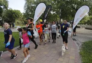 Valencia celebrará la Semana Europea del Deporte con la 3ª edición del Nationale-Nederlanden Plogging Tour