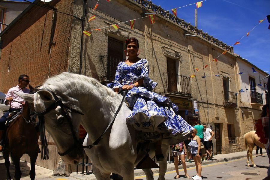 Feria del caballo en Fuentesaúco