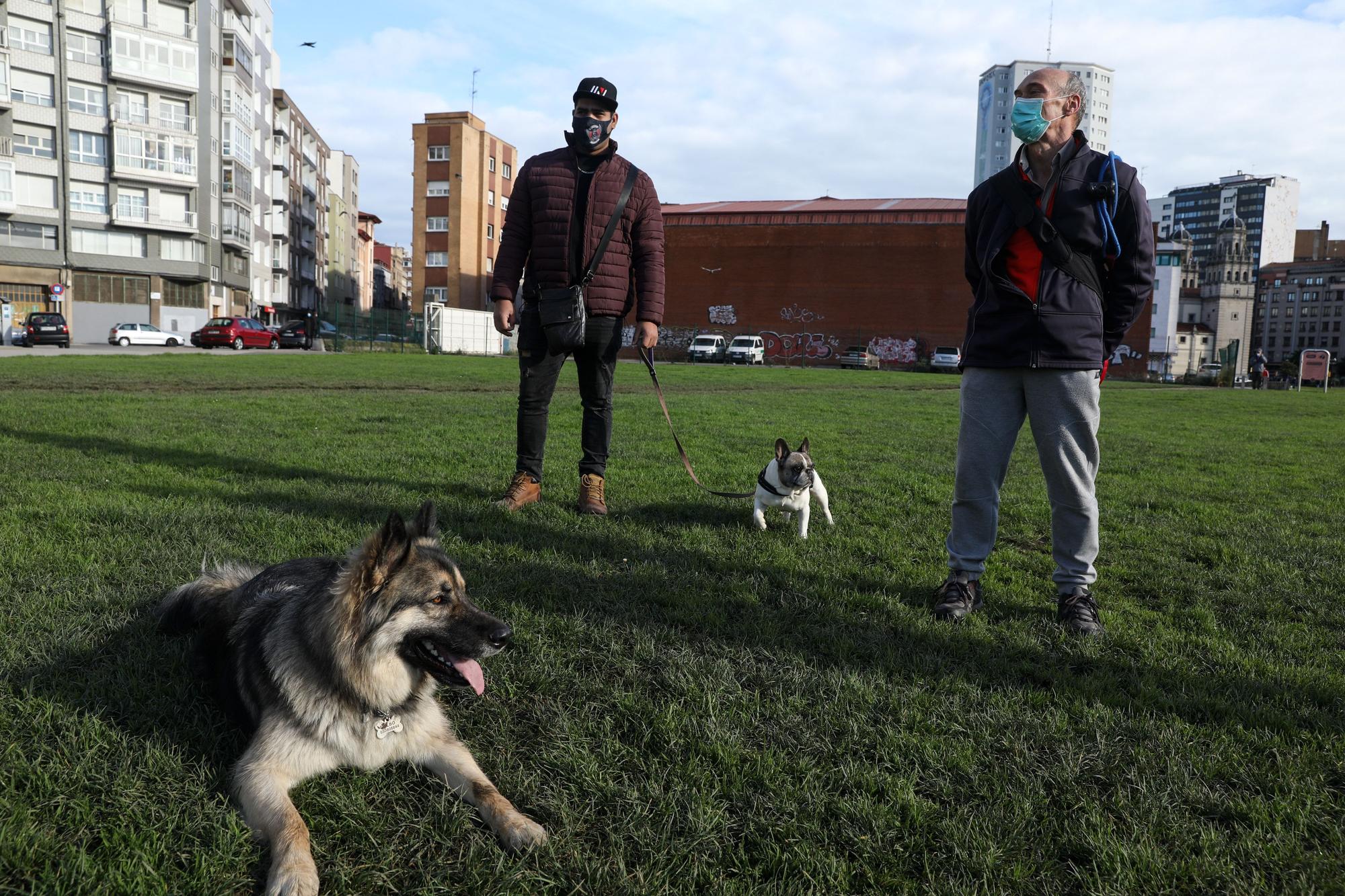 Las zonas para perros, espacios seguros