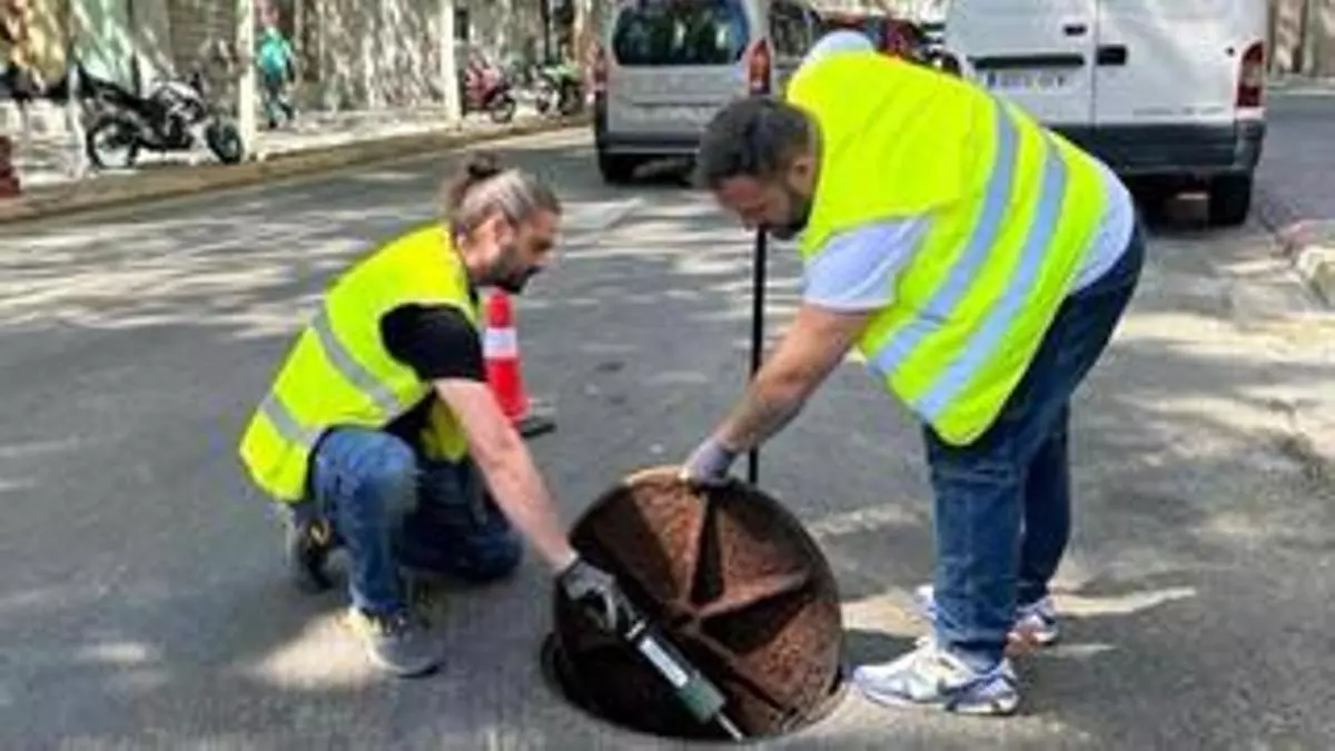 Cucarachas, ratas y otros animales: Sabadell redobla su 'guerra' contra las plagas