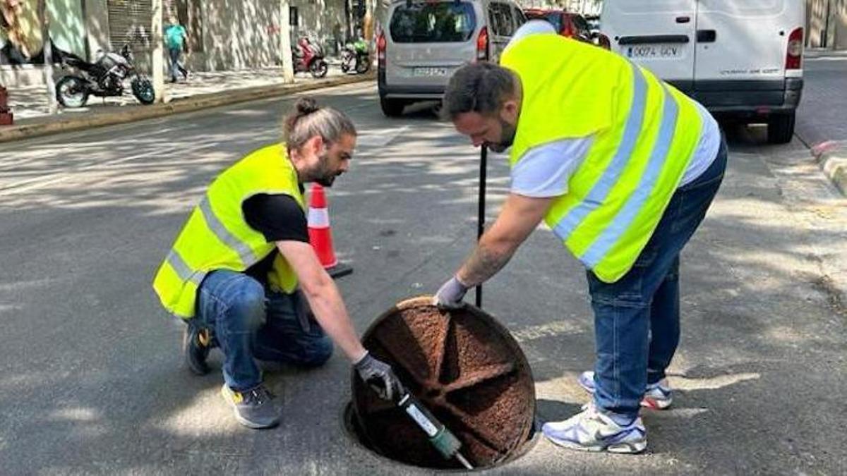 Dos técnicos inspeccionan un pozo de alcantarillado de Sabadell en busca de plagas.