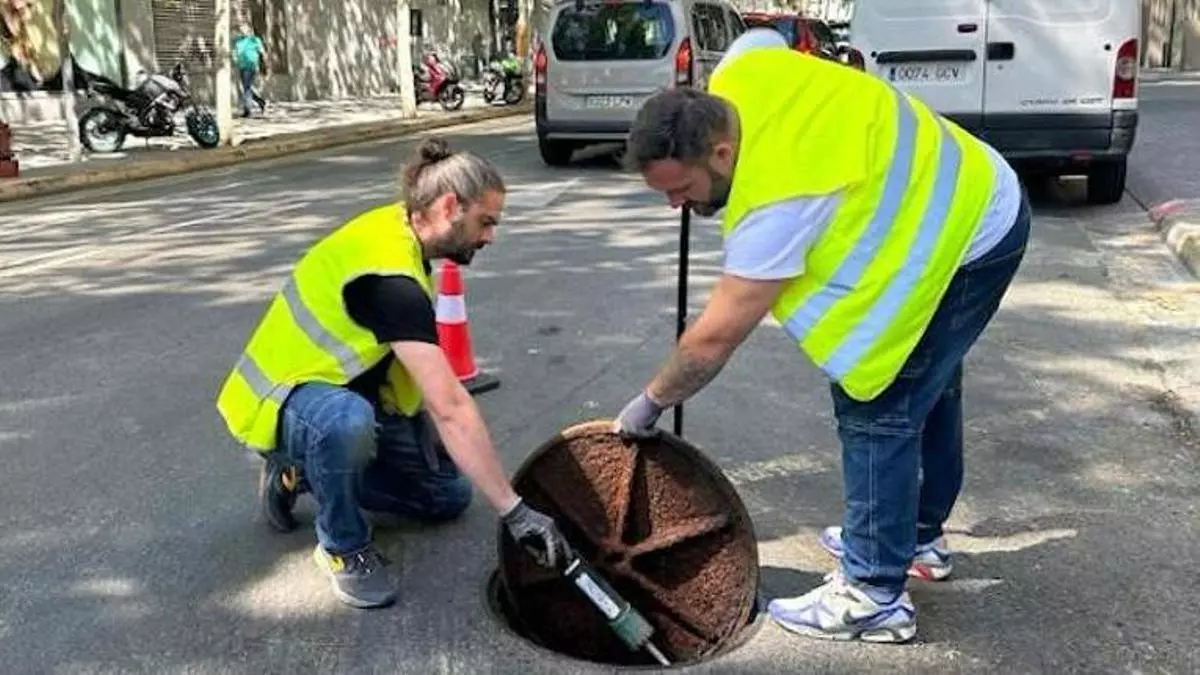 Cucarachas, ratas y otros animales: Sabadell redobla su 'guerra' contra las plagas