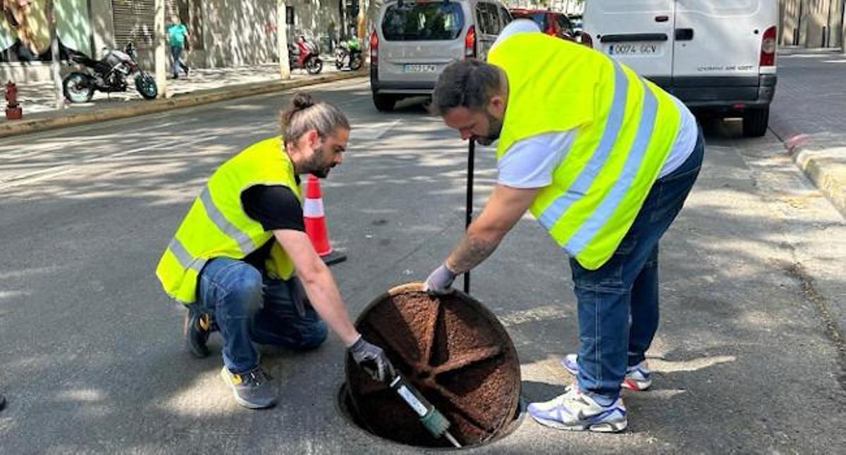 Dos técnicos inspeccionan un pozo de alcantarillado de Sabadell en busca de plagas.