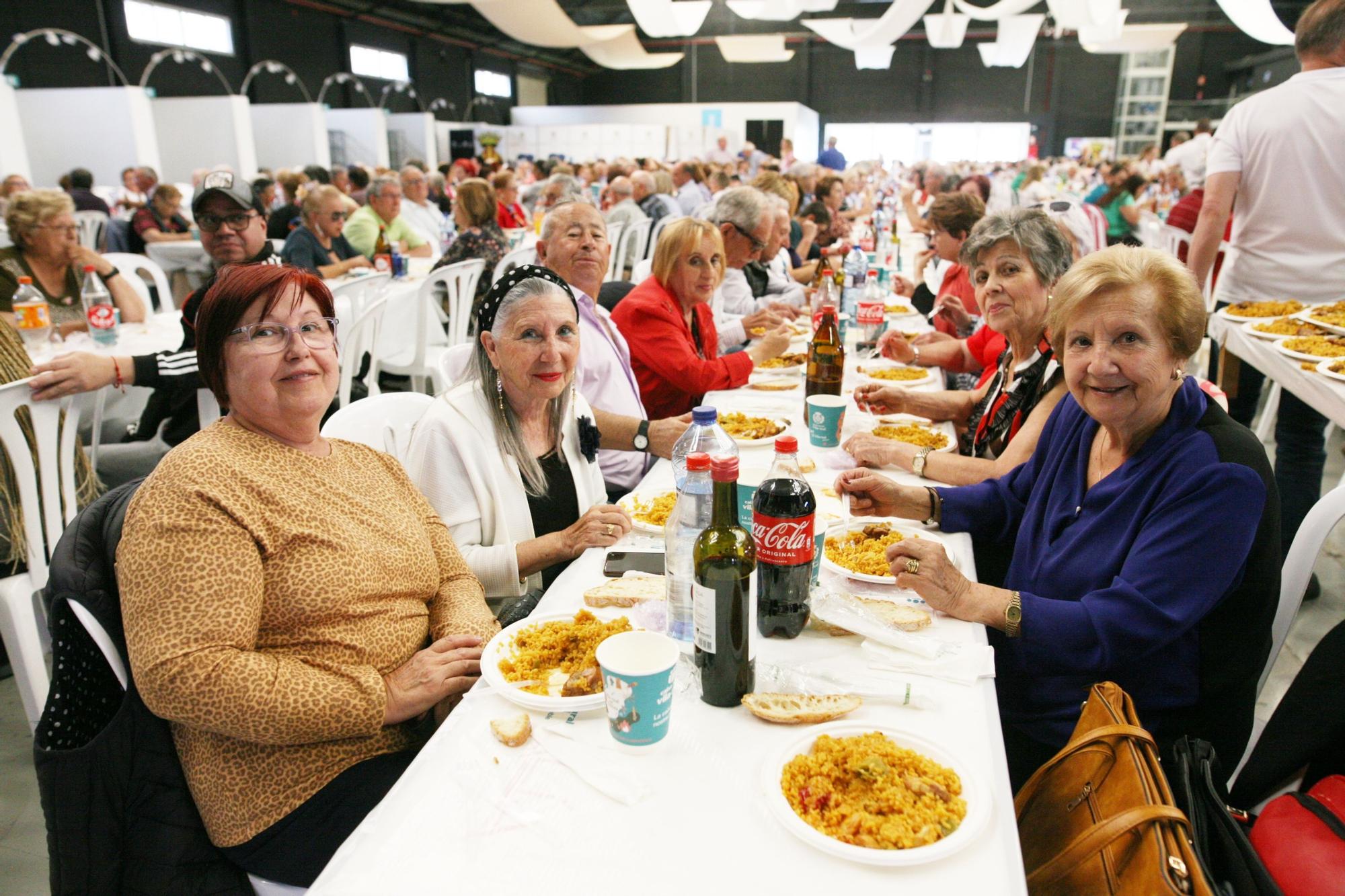 Las imágenes de la séptima jornada de las fiestas de Sant Pasqual del 2023 en Vila-real