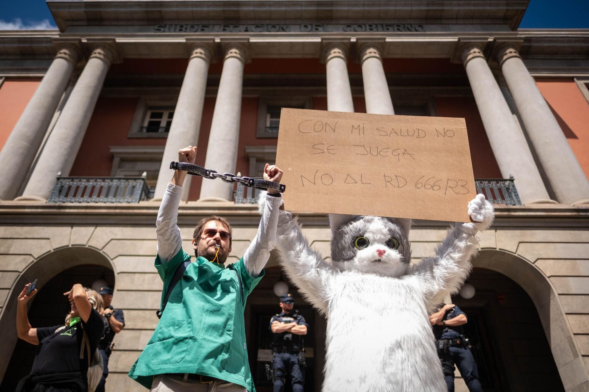 Los veterinarios  de Tenerife se manifiestan contra el decreto que les impide suministrar antibióticos a las mascotas.