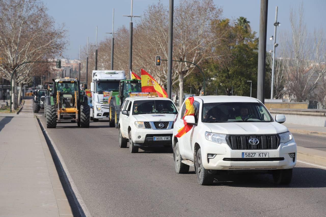 Llegada de los agricultores al Arenal