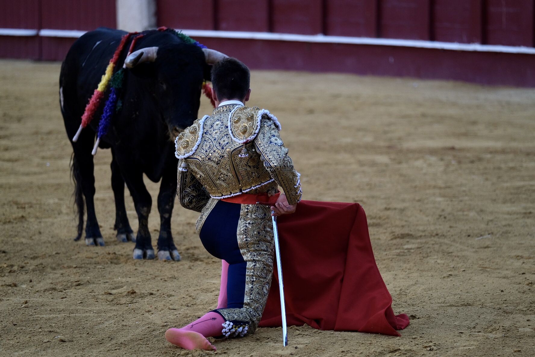 XV edición del Certamen Internacional de Escuelas Taurinas