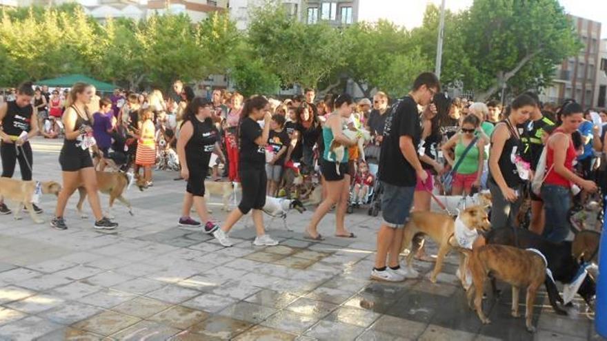 Un evento en Oliva con los perros como protagonistas.