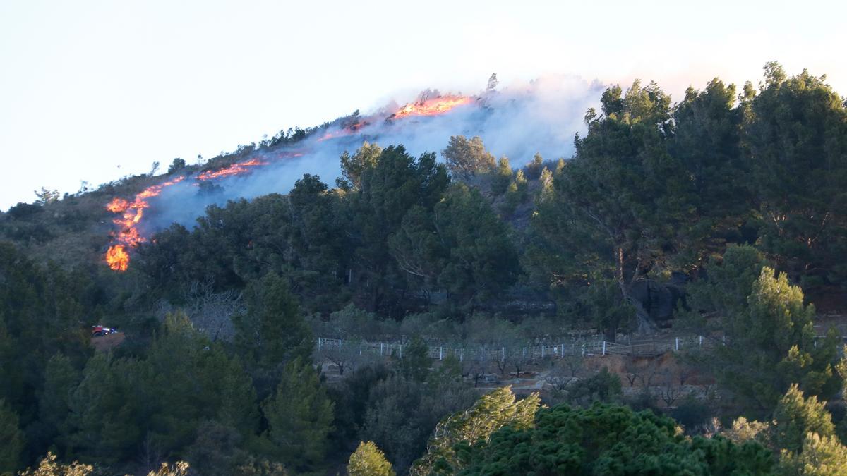 Incendio forestal en la Selva del Camp