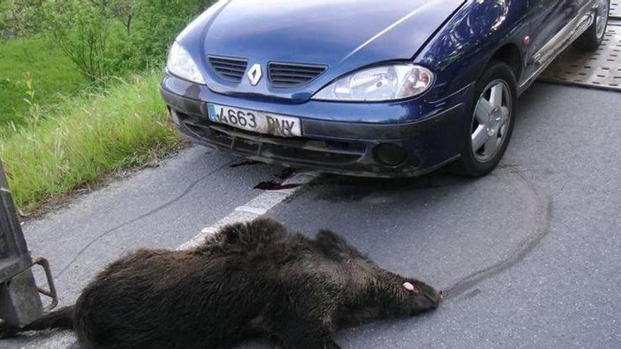 Tres heridos en un accidente entre dos coches provocado por un jabalí en Navarrés