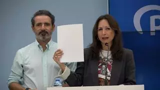 El PP de Málaga prevé suspender el Congreso Provincial de noviembre por el adelanto electoral: "No es el momento de hablar de cargos"