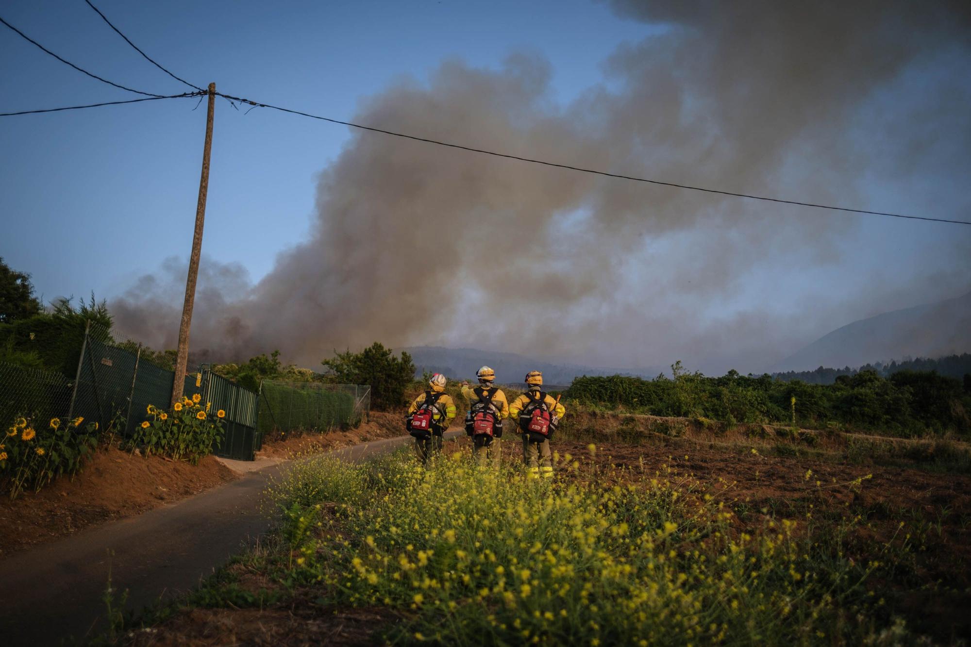 El incendio forestal de Tenerife, en imágenes