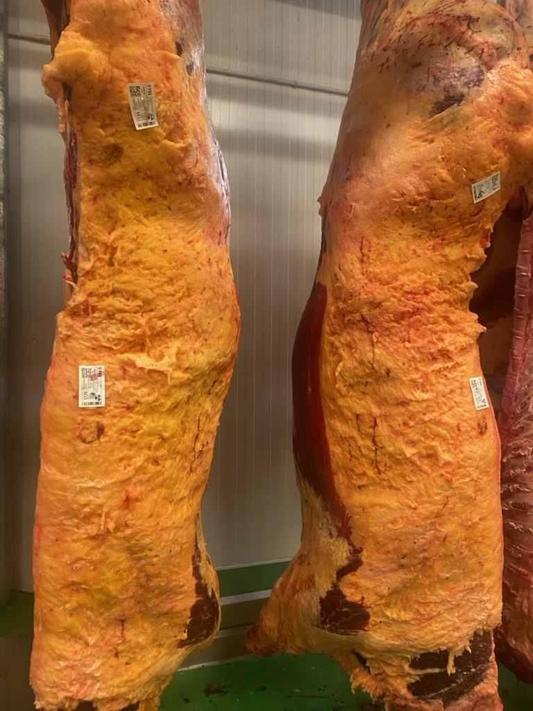 Canales de 'Rubia', ahora en maduración en Frigoríficos Bandeira.