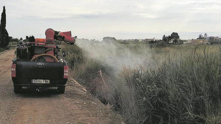 Las lluvias obligarán a intensificar aún más los tratamientos terrestres