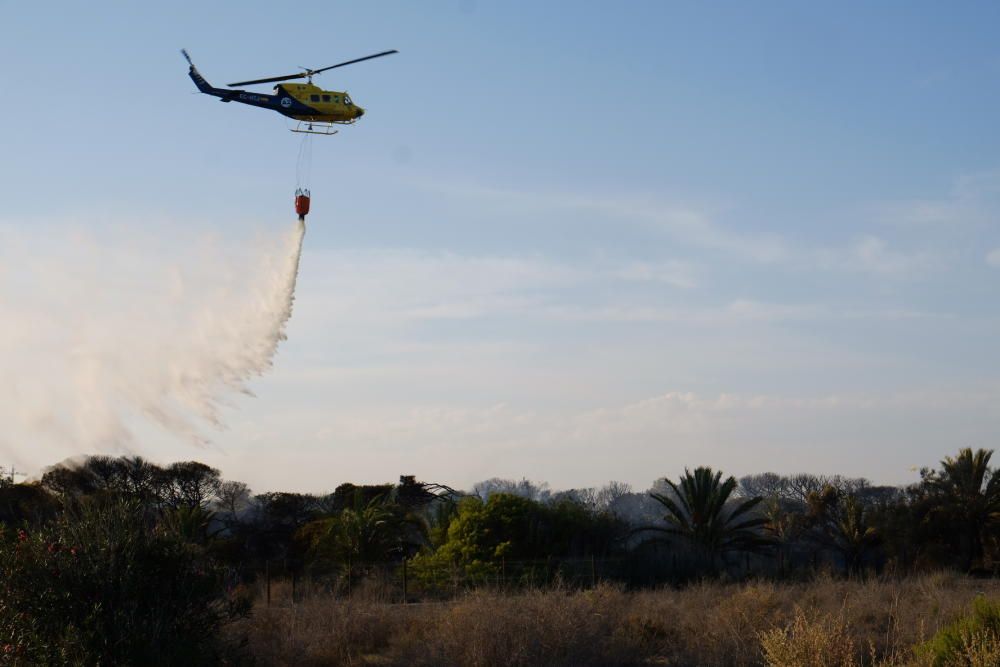 Extinción de un incendio en la pinada de Guardamar