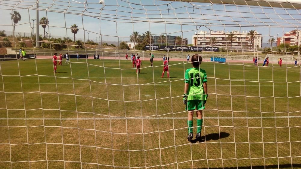 La V Fiesta del Deporte, en imágenes