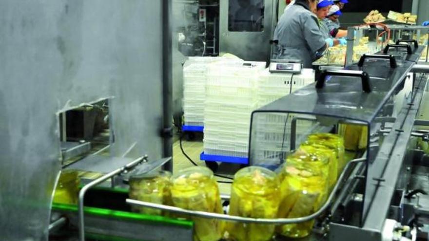 Mujeres trabajando en una conservera gallega.  // Iñaki Abella