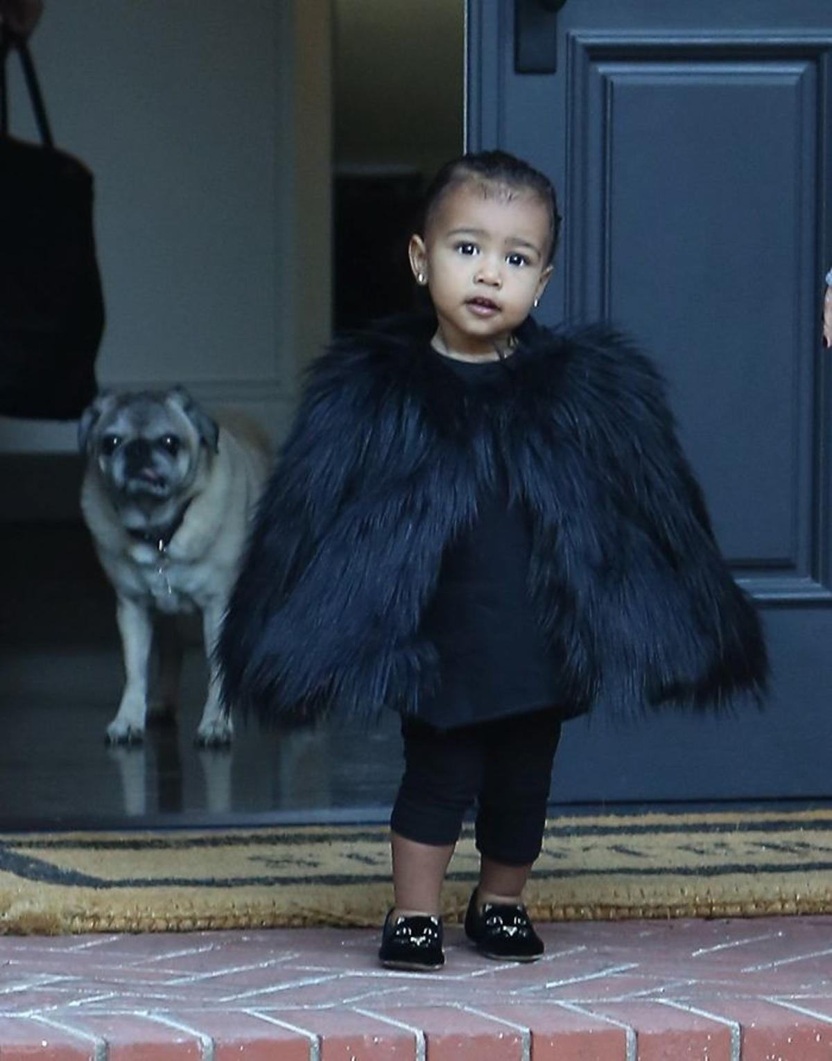 North se excede con las tendencias