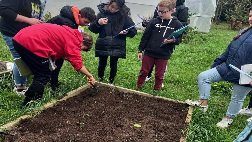 Un grupo de alumnos, sembrando ajos en el huerto escolar