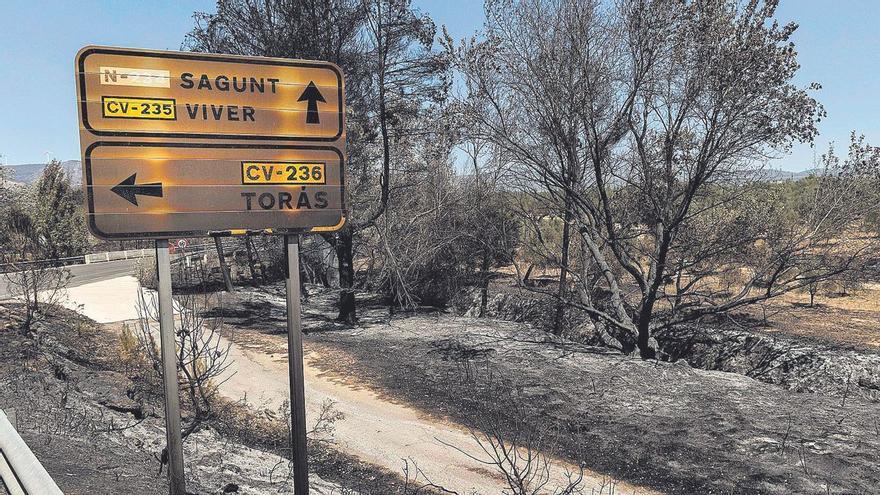 Ruta por el monte quemado en agosto en el Palancia: Comprueba los efectos del fuego casi un año después