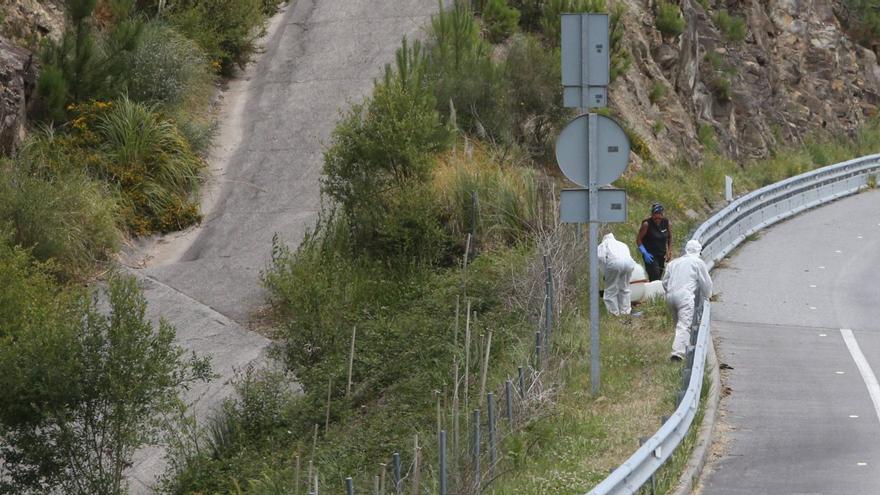 La Xunta fumiga de nuevo para eliminar brotes de p