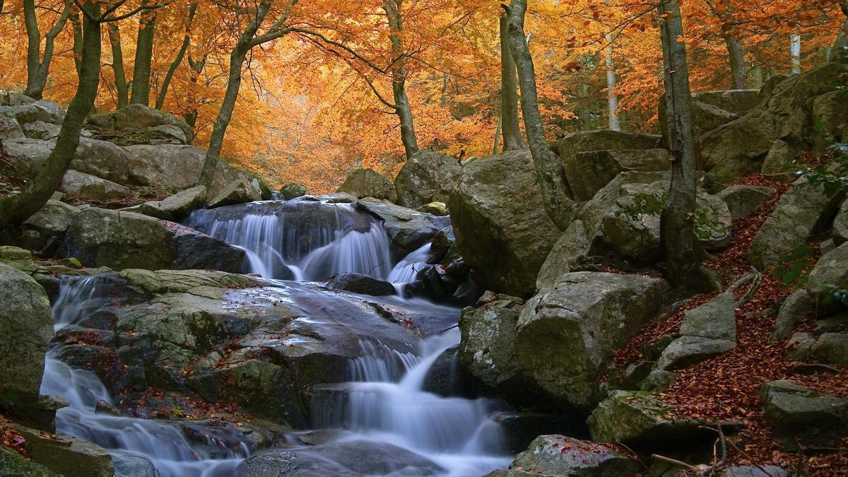 Los bosques más bonitos del otoño cerca de Barcelona