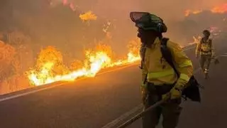 Varias víctimas mortales del incendio de Los Gallardos fueron encontradas atrapadas en coches tras intentar huir por caminos alternativos