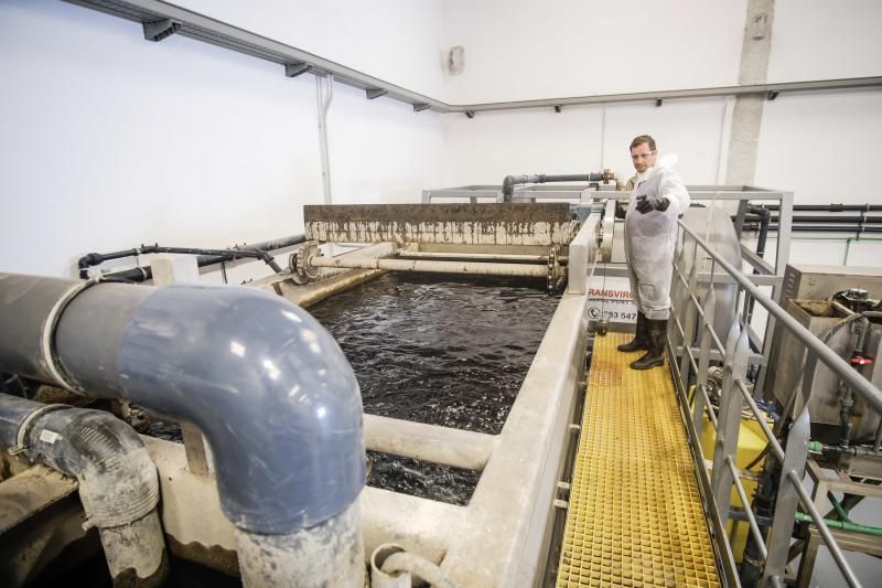 Las Palmas de Gran Canaria . Planta de tratamiento de aguas de Transvirgin  | 06/02/2020 | Fotógrafo: José Carlos Guerra