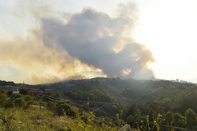 Incendio en la zona de cumbre de Gran Canaria