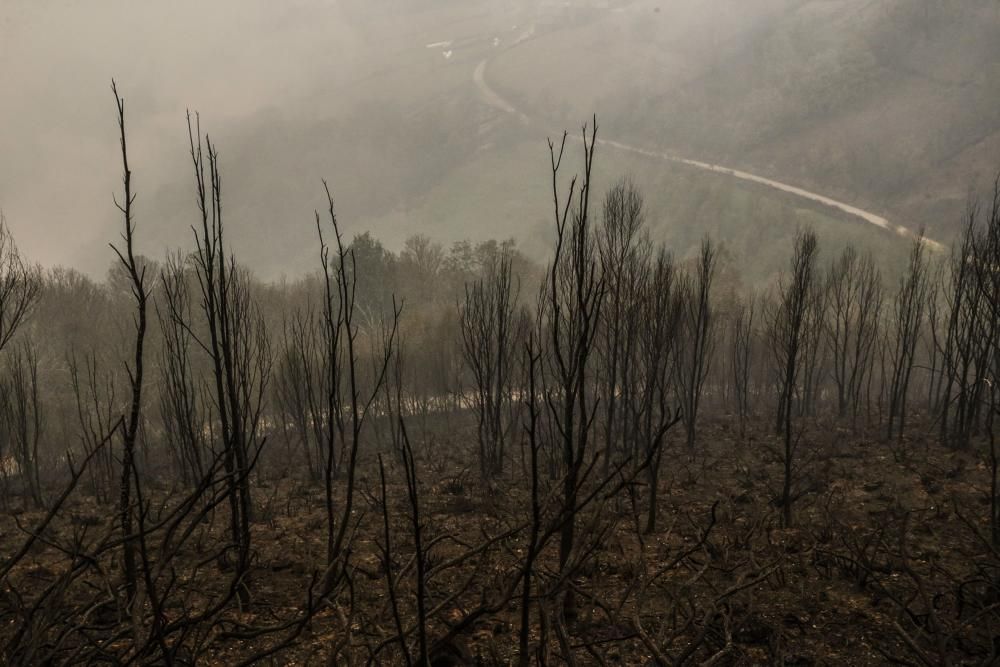 El suroccidente asturiano lucha contra las llamas