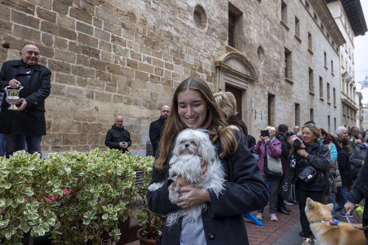 PALMA. BENEIDES DE PALMA 2026.